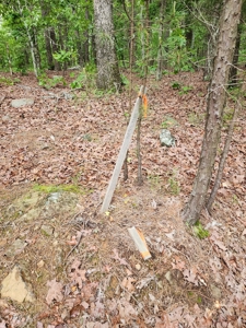 40 Acre Recreational Property – Winding Stair Mountains - image 16