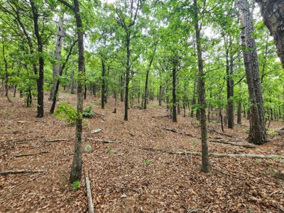 40 Acre Recreational Property – Winding Stair Mountains - image 11