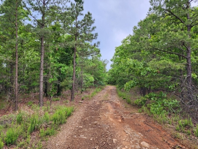 40 Acre Recreational Property – Winding Stair Mountains - image 2