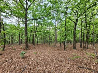 40 Acre Recreational Property – Winding Stair Mountains - image 1