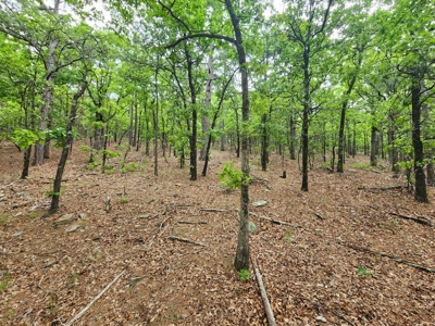 40 Acre Recreational Property – Winding Stair Mountains - image 10