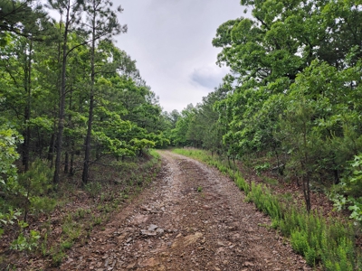 40 Acre Recreational Property – Winding Stair Mountains - image 14