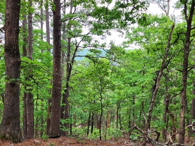 40 Acre Recreational Property – Winding Stair Mountains - image 8