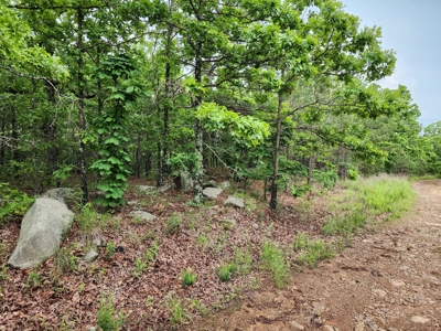 40 Acre Recreational Property – Winding Stair Mountains - image 15