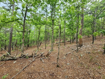 40 Acre Recreational Property – Winding Stair Mountains - image 9