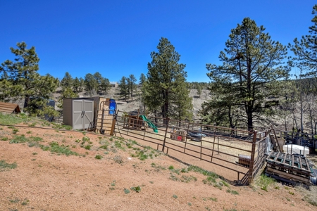 Updated One Level Living  -  Colorado Mountain Home - image 6