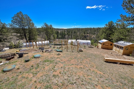 Updated One Level Living  -  Colorado Mountain Home - image 10