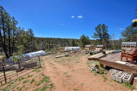 Updated One Level Living  -  Colorado Mountain Home - image 4