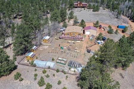 Updated One Level Living  -  Colorado Mountain Home - image 46