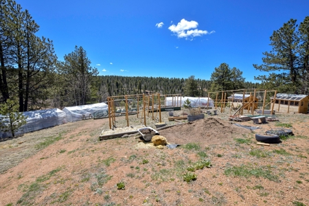 Updated One Level Living  -  Colorado Mountain Home - image 7