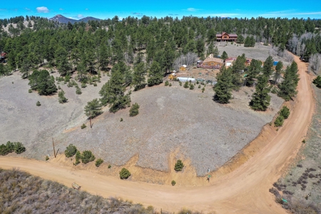 Updated One Level Living  -  Colorado Mountain Home - image 45