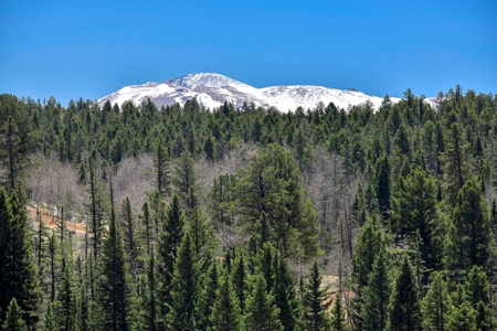 Updated One Level Living  -  Colorado Mountain Home - image 41