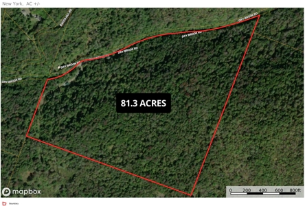 Country Cabin with Acreage - image 1