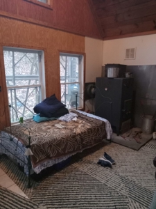 Country Cabin with Acreage - image 7