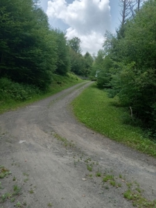 Country Cabin with Acreage - image 12