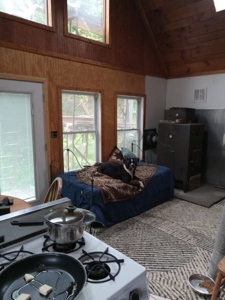 Country Cabin with Acreage - image 13