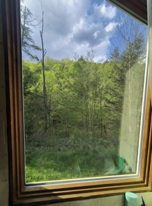Country Cabin with Acreage - image 2
