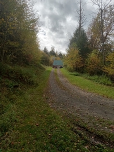 Country Cabin with Acreage - image 8