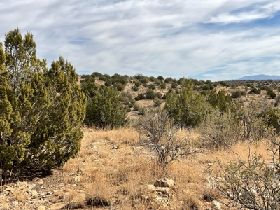 10+ Acres for Sale in Paulden AZ - No HOA - image 4