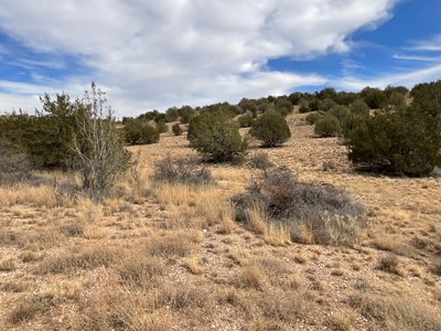 10+ Acres for Sale in Paulden AZ - No HOA - image 8