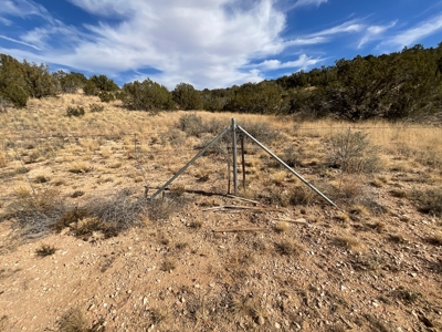 10+ Acres for Sale in Paulden AZ - No HOA - image 11