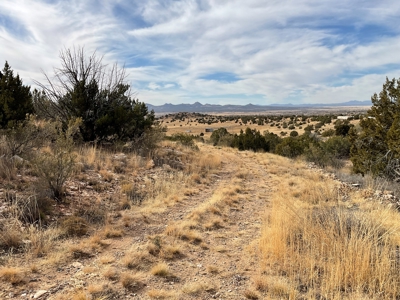 10+ Acres for Sale in Paulden AZ - No HOA - image 1