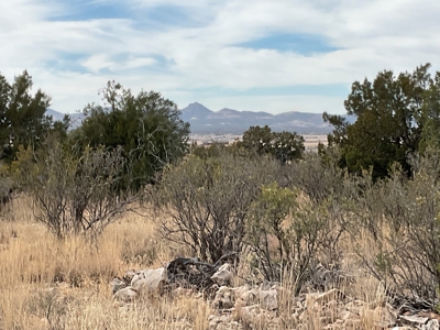 10+ Acres for Sale in Paulden AZ - No HOA - image 3