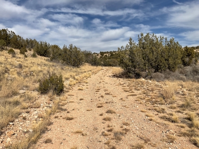 10+ Acres for Sale in Paulden AZ - No HOA - image 10