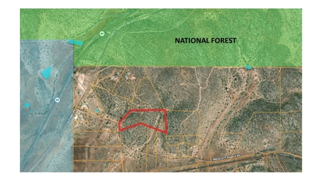 10+ Acres for Sale in Paulden AZ - No HOA - image 7