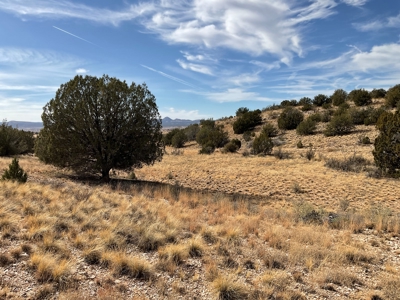 10+ Acres for Sale in Paulden AZ - No HOA - image 9