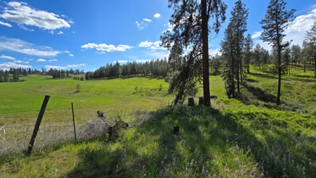 Captivating 53.56 Acres 10 Min to Downtown Spokane! - image 1