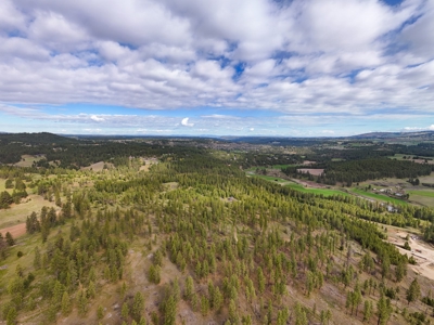 Captivating 53.56 Acres 10 Min to Downtown Spokane! - image 12
