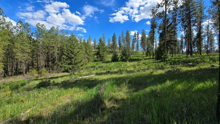 Captivating 53.56 Acres 10 Min to Downtown Spokane! - image 7