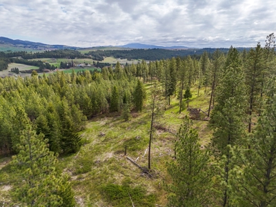 Captivating 53.56 Acres 10 Min to Downtown Spokane! - image 19