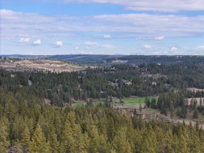 Captivating 53.56 Acres 10 Min to Downtown Spokane! - image 9