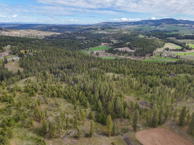 Captivating 53.56 Acres 10 Min to Downtown Spokane! - image 18