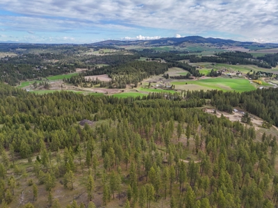 Captivating 53.56 Acres 10 Min to Downtown Spokane! - image 16