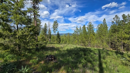 Captivating 53.56 Acres 10 Min to Downtown Spokane! - image 8