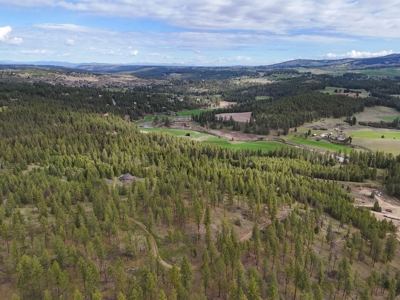 Captivating 53.56 Acres 10 Min to Downtown Spokane! - image 13