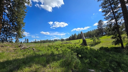 Captivating 53.56 Acres 10 Min to Downtown Spokane! - image 2