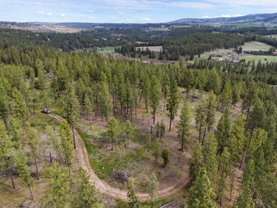 Captivating 53.56 Acres 10 Min to Downtown Spokane! - image 10