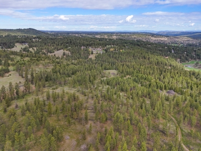 Captivating 53.56 Acres 10 Min to Downtown Spokane! - image 14