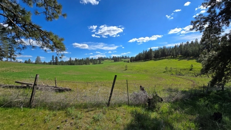 Captivating 53.56 Acres 10 Min to Downtown Spokane! - image 6