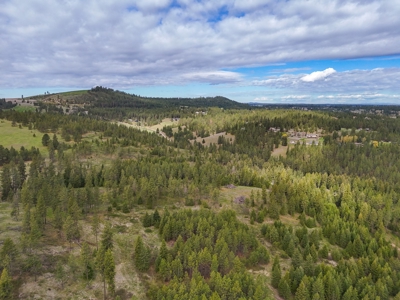 Captivating 53.56 Acres 10 Min to Downtown Spokane! - image 21