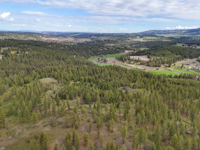 Captivating 53.56 Acres 10 Min to Downtown Spokane! - image 15