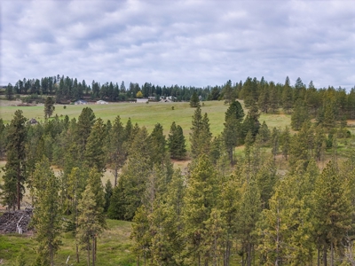 Captivating 53.56 Acres 10 Min to Downtown Spokane! - image 22