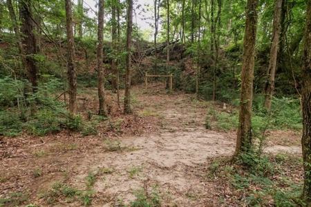 Beautiful Home/Getaway For Sale in Natchez, MS - image 4
