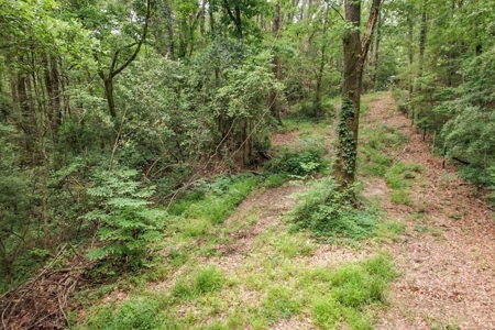 Beautiful Home/Getaway For Sale in Natchez, MS - image 5