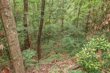 Beautiful Home/Getaway For Sale in Natchez, MS - image 6