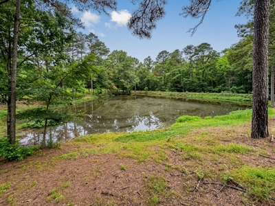 Beautiful Home/Getaway For Sale in Natchez, MS - image 41